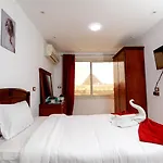 Lion Middle East Pyramids Panorama