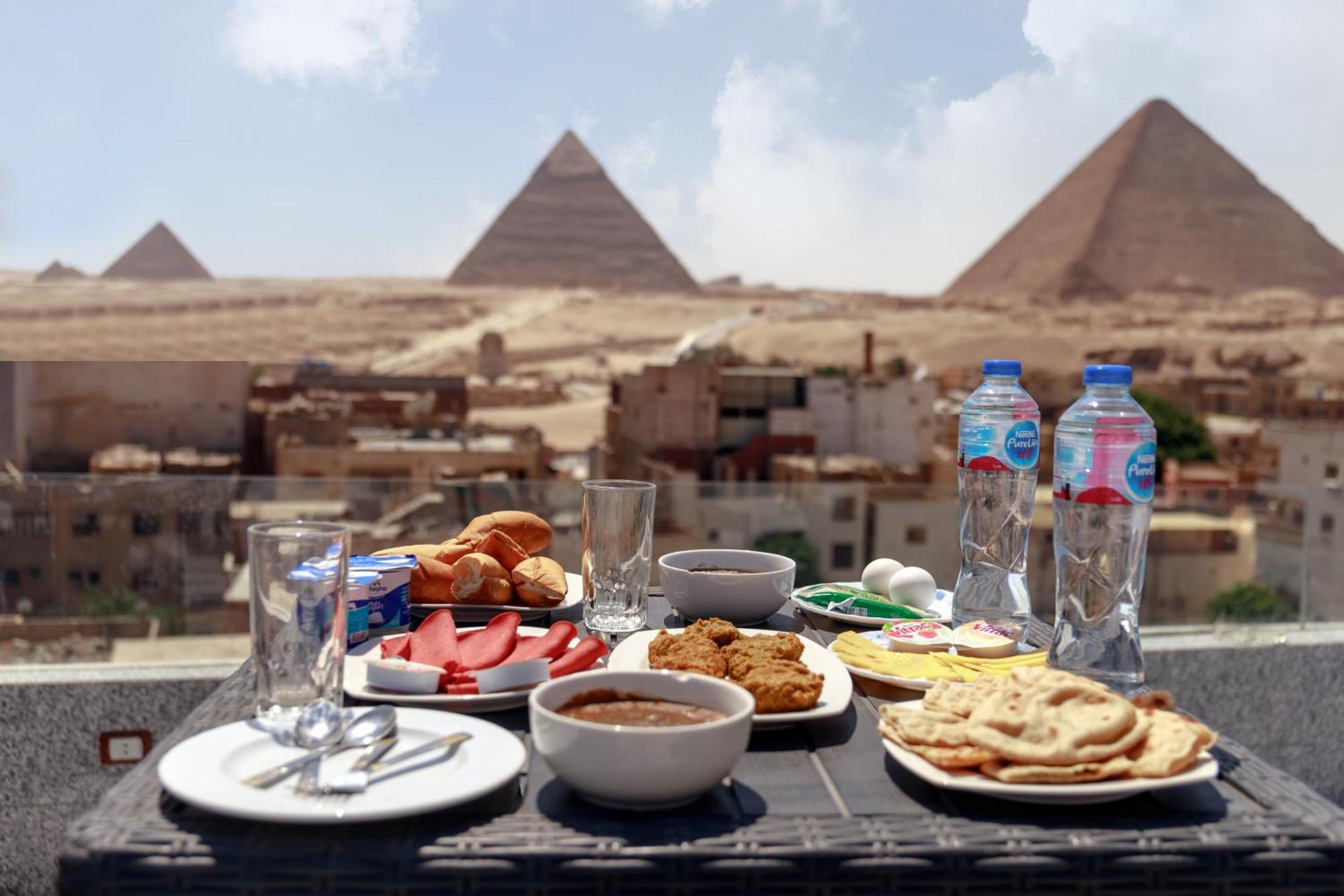 Lion Middle East Pyramids Panorama