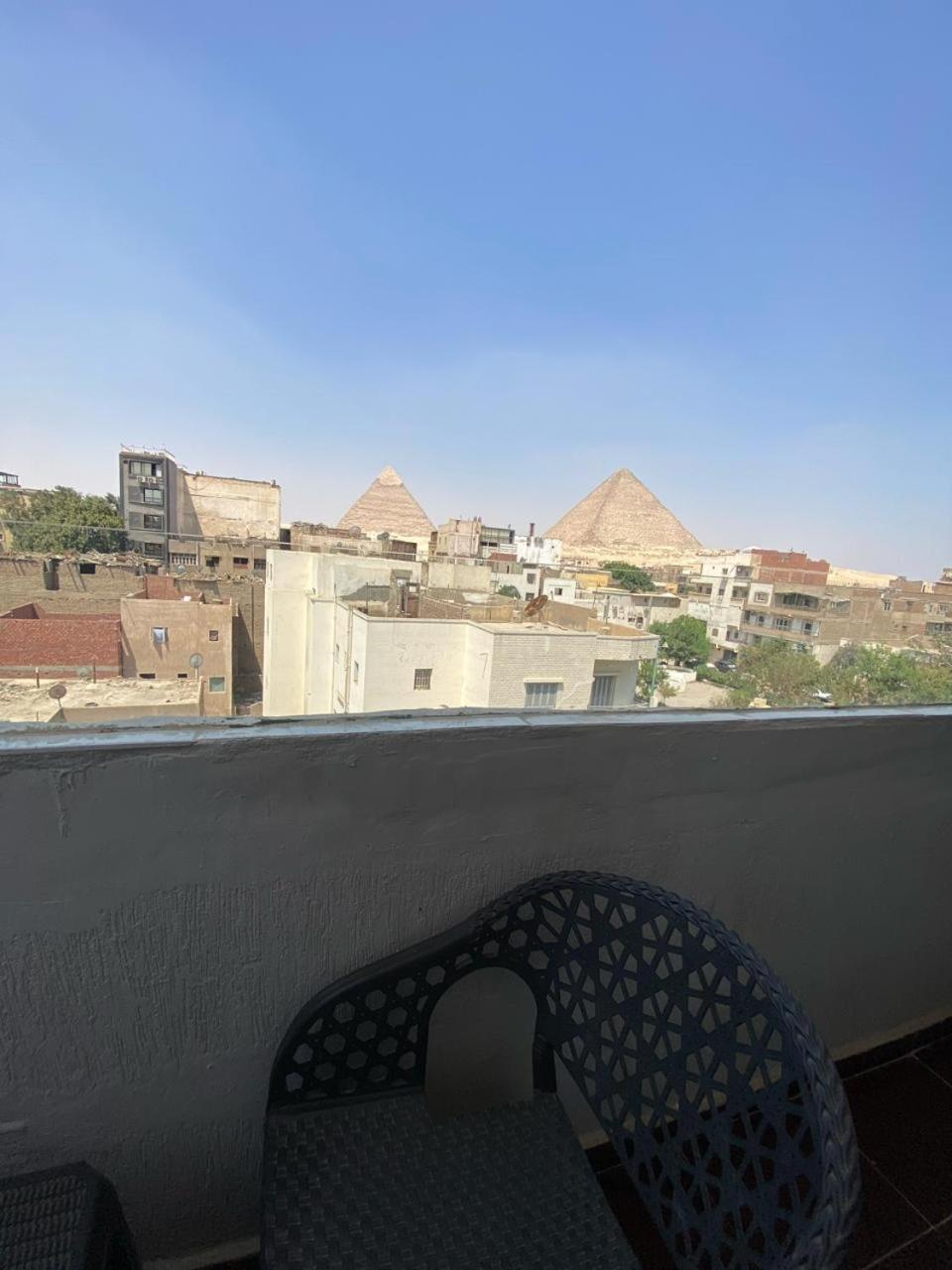 Lion Middle East Pyramids Panorama