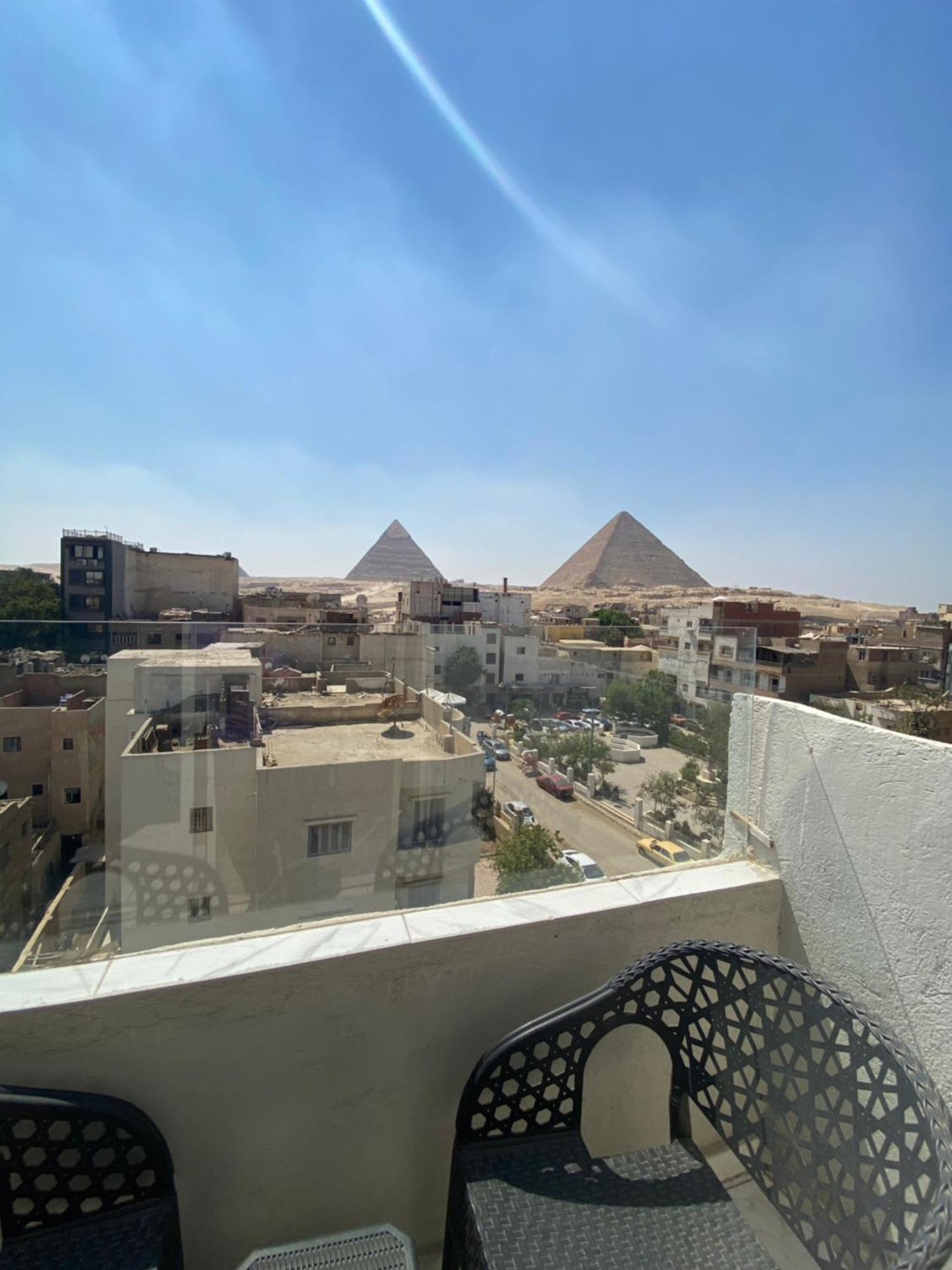 Lion Middle East Pyramids Panorama